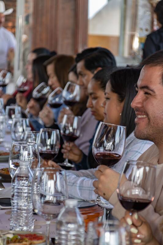 Glasses of wine at a vineyard tasting